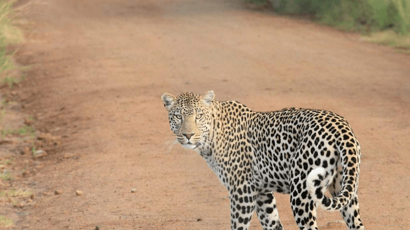 Database - professional stock photography