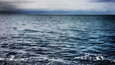 Microchip - professional stock photography