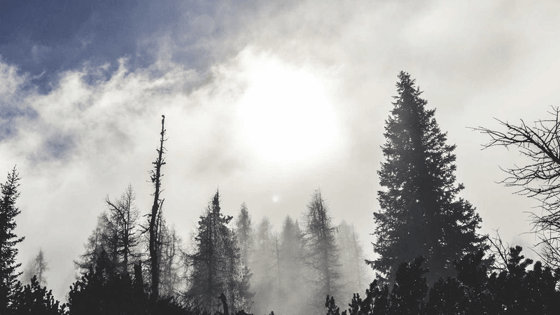 Robot - professional stock photography