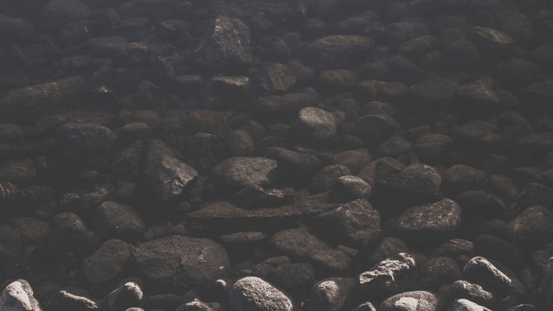 Robot - professional stock photography