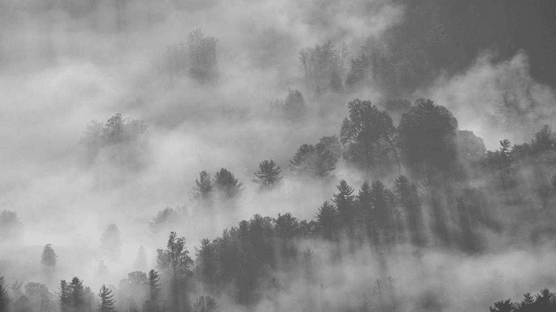 Server Room - professional stock photography