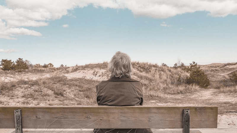 Software - professional stock photography