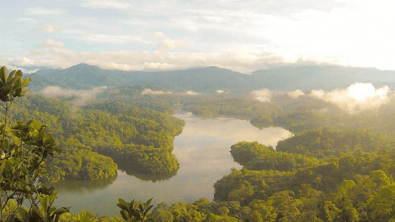 Web Design - professional stock photography